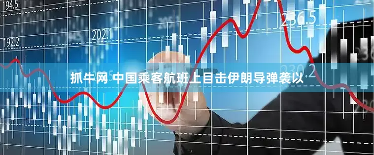 抓牛网 中国乘客航班上目击伊朗导弹袭以