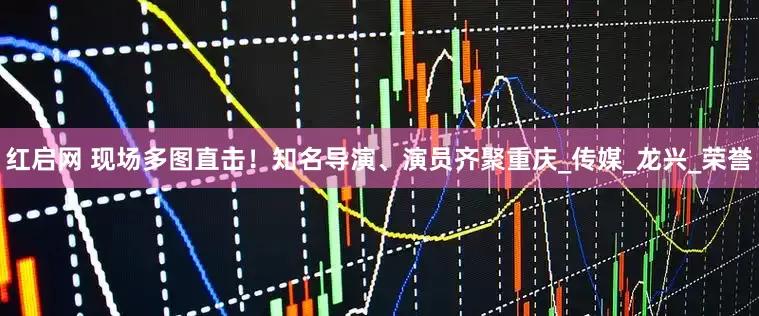 红启网 现场多图直击！知名导演、演员齐聚重庆_传媒_龙兴_荣誉