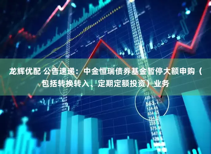 龙辉优配 公告速递：中金恒瑞债券基金暂停大额申购（包括转换转入、定期定额投资）业务